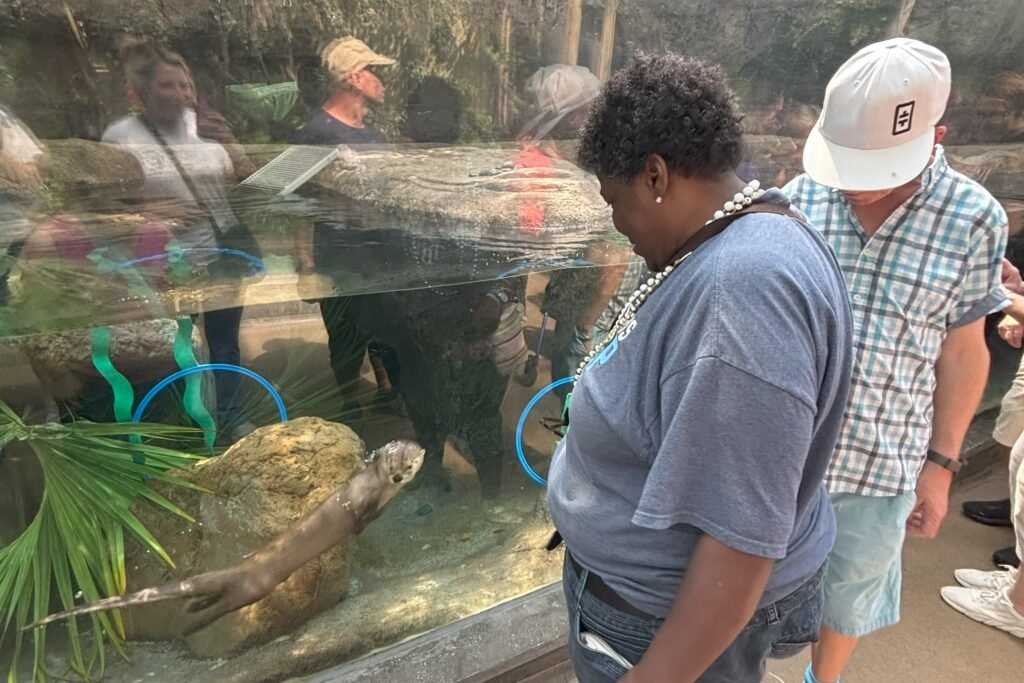 Participants watching a sea turtle at an aquarium exhibit